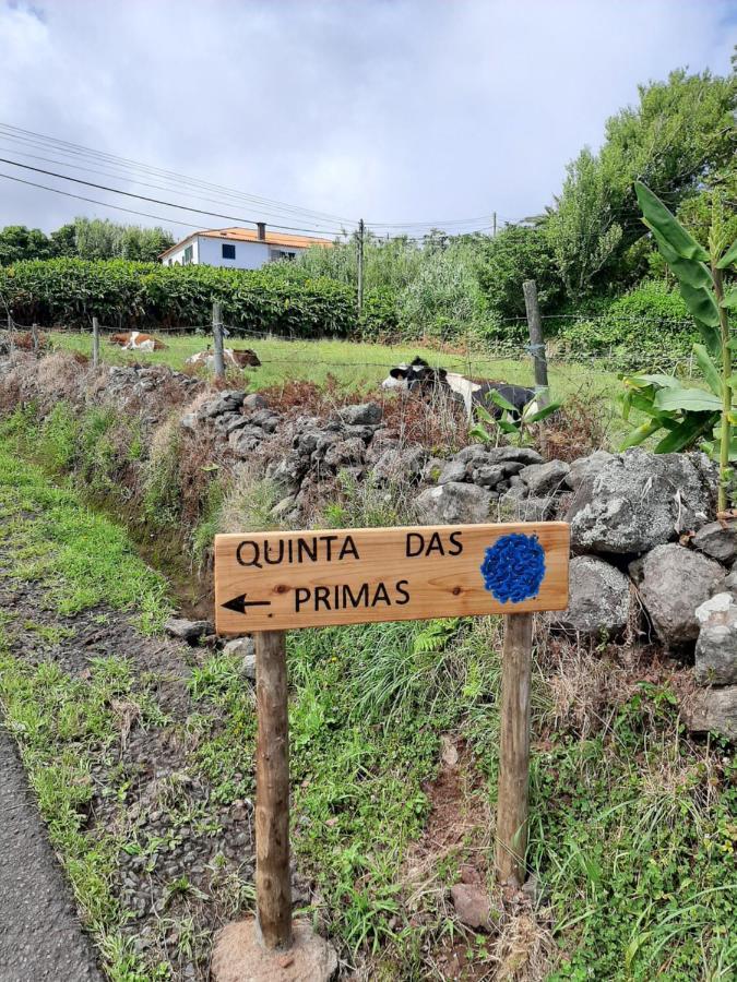 Quinta Das Primas Lomba  エクステリア 写真