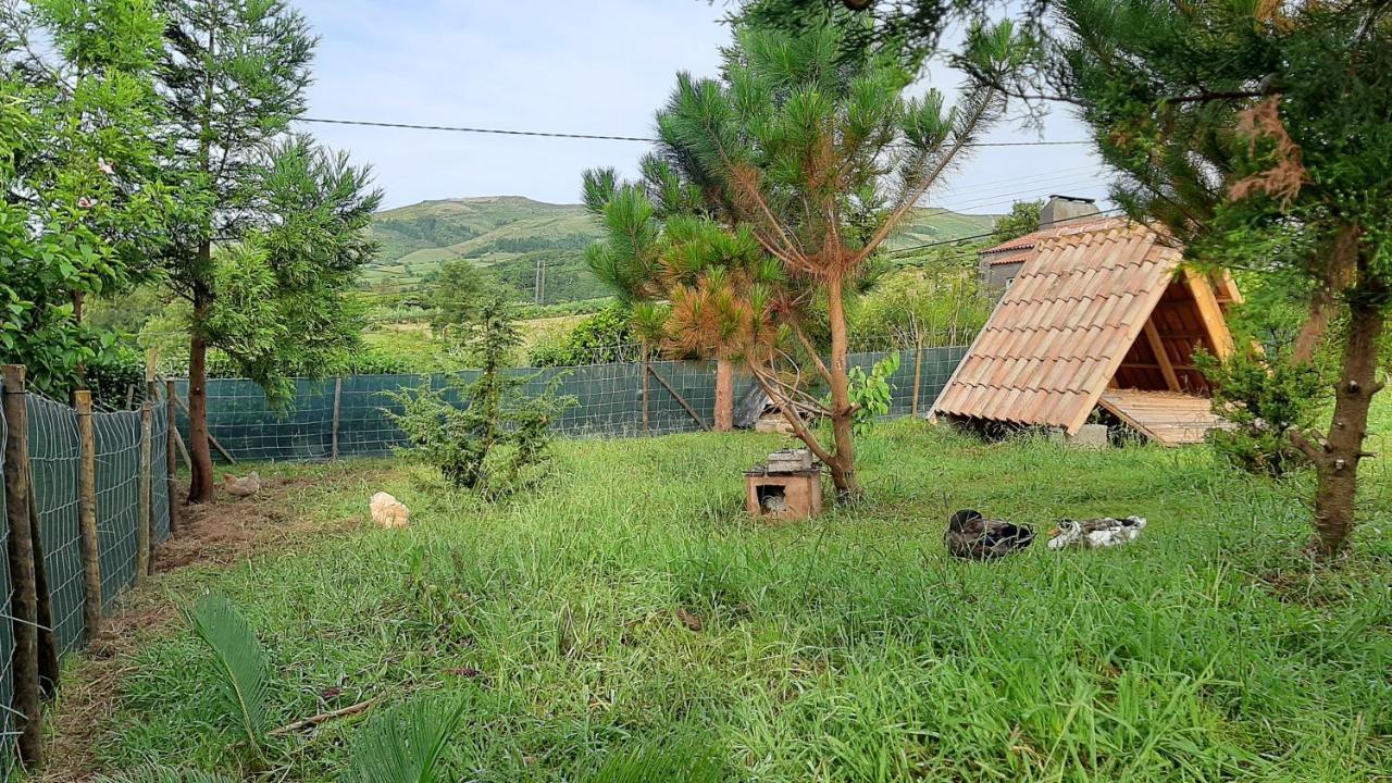 Quinta Das Primas Lomba  エクステリア 写真